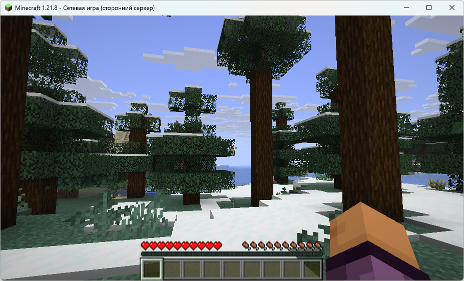 Как настроить игровой сервер Minecraft