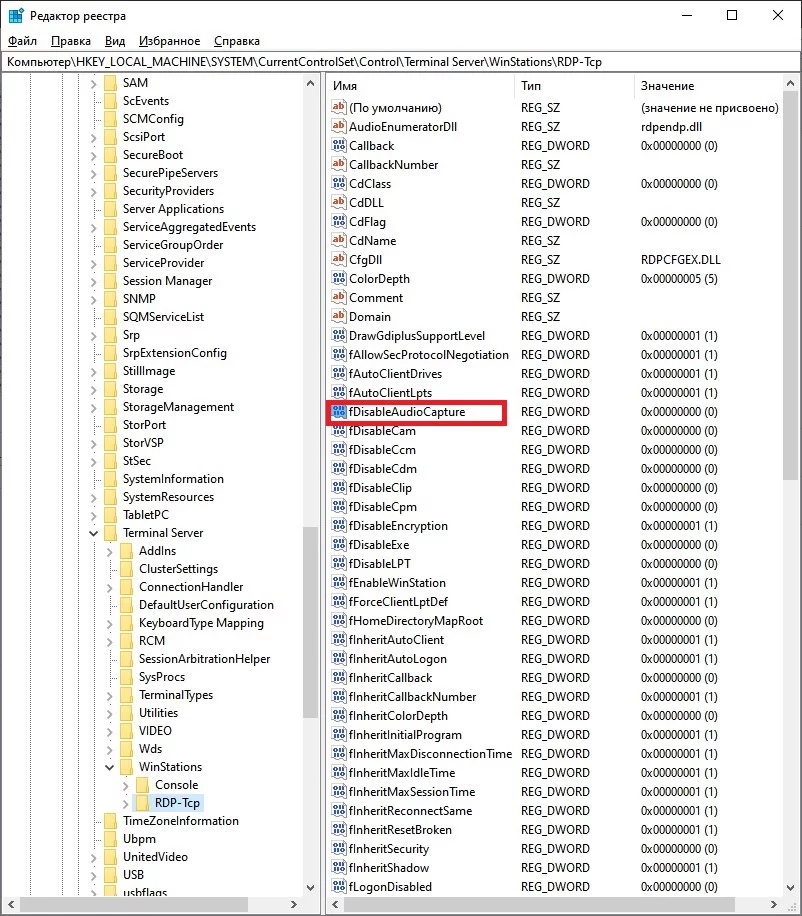 Параметр fDisableAudioCapture