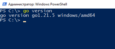 Вывод команды go version - Как установить Go на Windows Server