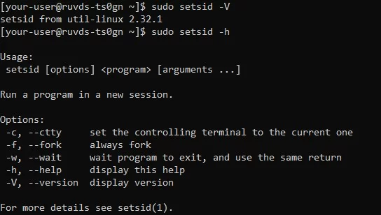 sudo setsid -h - Автозапуск приложений на сервере