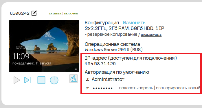 Страница сервера в личном кабинете ULTRAVDS
