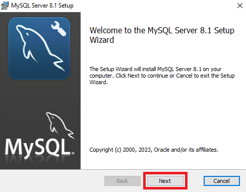 Стартовое окно мастера установки MySQL