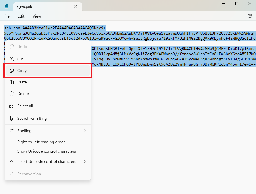Копирование в буфер обмена содержимого файла id_rsa.pub