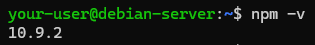 Вывод установленной версии NPM - Как установить Node.js на Debian