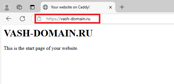 Доступ к сайту по HTTPS - Установка веб-сервера Caddy