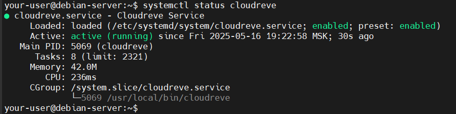 Вывод состояния службы Cloudreve - Как установить Cloudreve на Debian