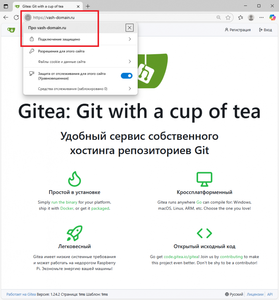 Подключение к веб-интерфейсу Gitea с помощью протокола HTTPS