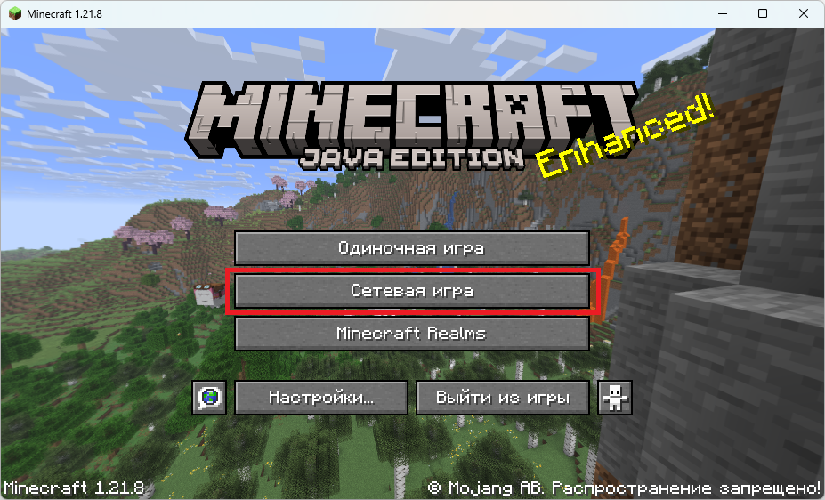 Стартовое окно Minecraft - Сетевая игра