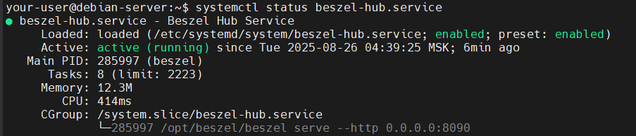 Вывод текущего состояния службы Beszel - Как установить Beszel на Debian