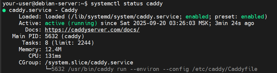 Вывод состояния службы Caddy - Как установить Trilium на Debian
