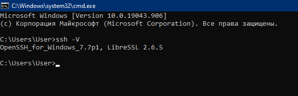 Вывод версии SSH-клиента - Как подключиться к Debian по SSH
