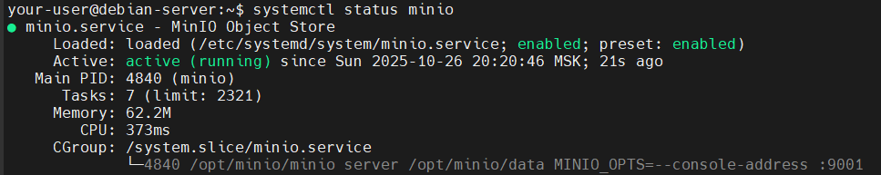 Вывод текущего состояния службы MniIO