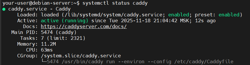 Вывод текущего состояния Caddy