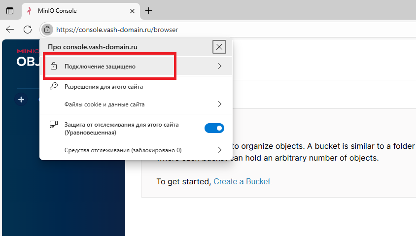 Подключение к веб-консоли MinIO по HTTPS