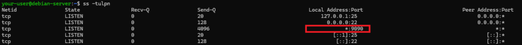 Вывод команды ss -tulpn