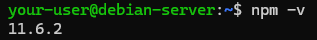 Версия NPM