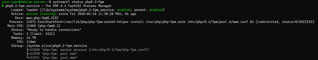 Вывод состояния службы PHP-FPM